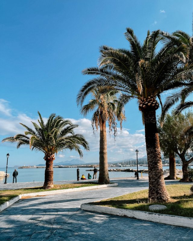 Palmen am Hafen in Rethymno - Kreta Roadtrip