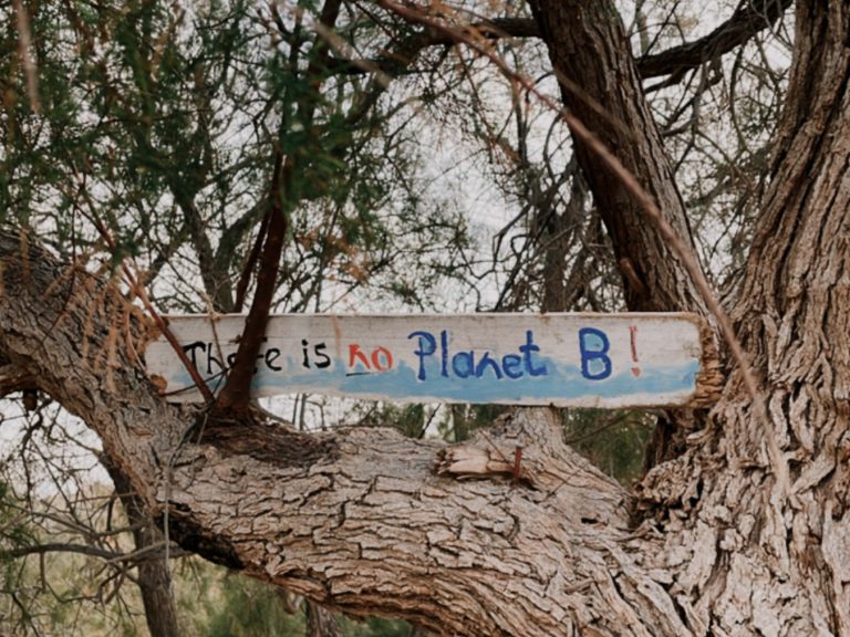 There is no planet b Schild in einem Baum auf Kreta - Kreta Roadtrip